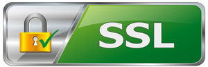 Your information is secured by SSL encryption.